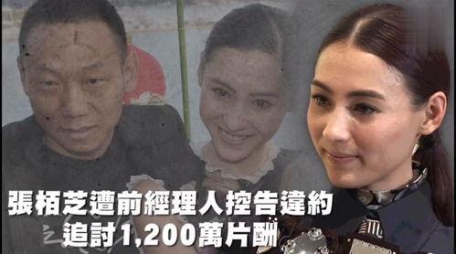 娱乐吃瓜前排,揭秘明星幕后故事