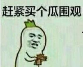 吃瓜群众表情包介绍大全,趣味横生的网络文化盛宴